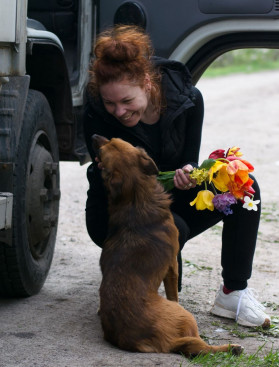 Зоодопомога